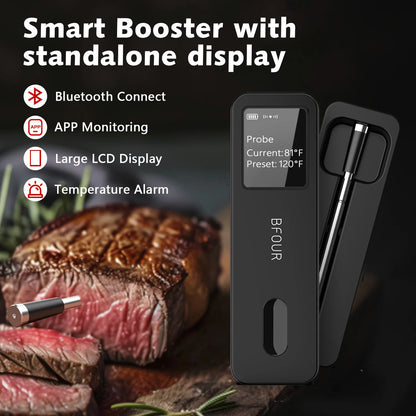 Meat thermometer with LCD screen